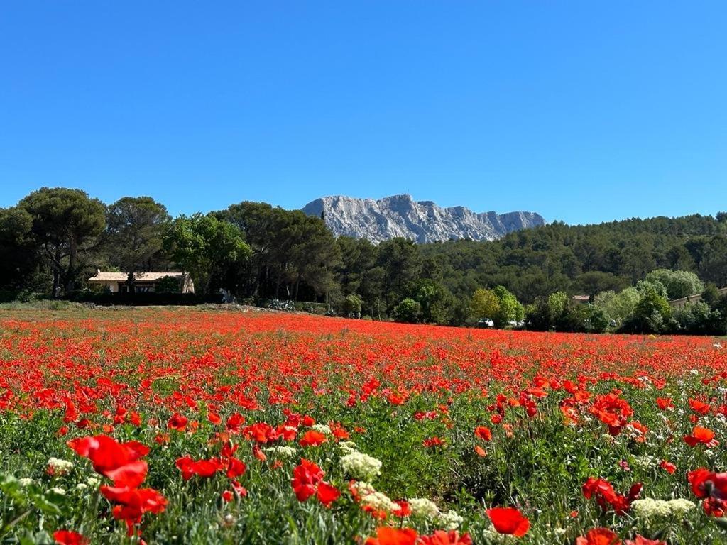 Villa Lumineuse Avec Piscine Clim 1Ere Etage Vue Panoramique Sur Les Montagnes Sur Le Site De La Sainte-Victoire 勒图鲁内 外观 照片